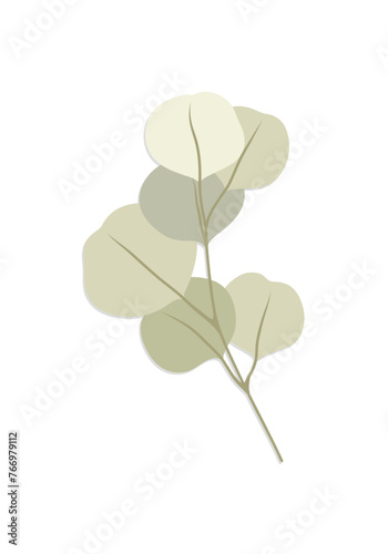 Eucalyptus, floral illustration. Green leaf branch, Silver dollar greenery, natural leaves tropical elements for wedding invitation, stationary, greetings, wallpapers, fashion, background