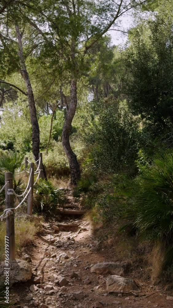 A walk through the hills of Castellon. A fenced path climbs up. A sunny warm day in Spain. A popular place in the park for outdoor activities. A walk through the hills of Castellon. A fenced path climbs up. A sunny warm day in Spain. A popular place in the park for outdoor activities.