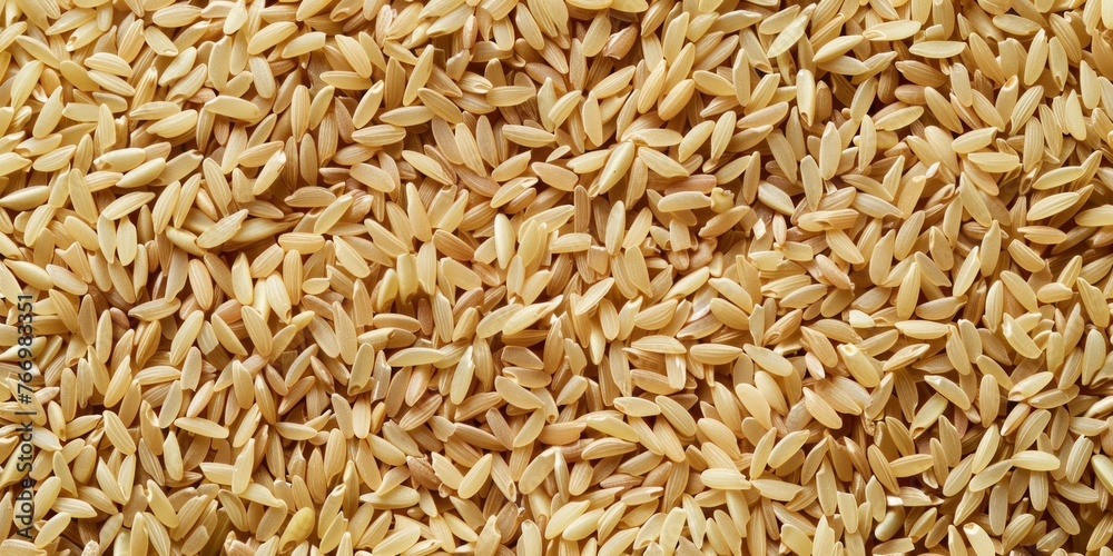 Organic Oat Grains Closeup Texture Organic Oat Grains Closeup Texture