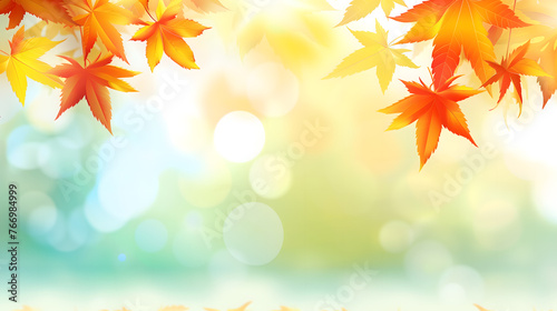 Autumn Border  Vibrant Orange Leaves Illustration