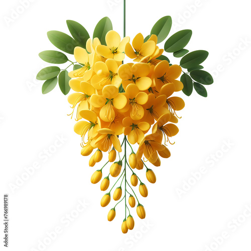 Cassia fistula, Kani Konna flower illustration without background PNG Image for Kerala festival vishu celebration photo