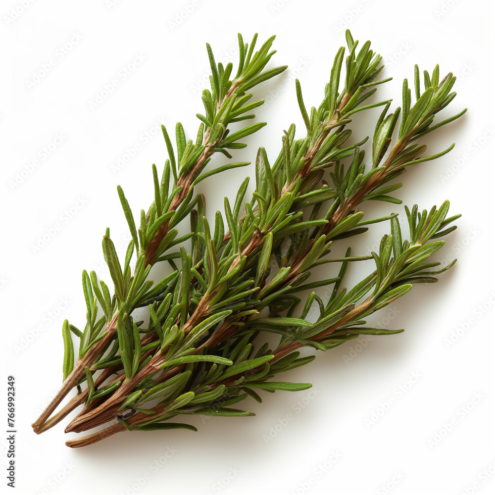 Fototapeta premium herb isolated on clear white background