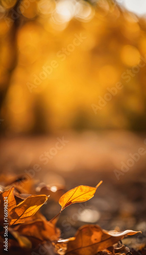  Defocused dry autumn leaves in nature  