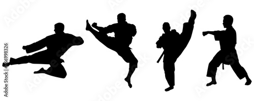 Set of Sport Men, Karate, Martial Arts, Athletic, Collection, Silhouette, Kata, Power, Training, Combat, Isolated
