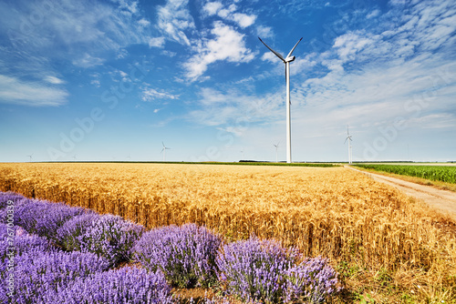 Wind turbines among agricultural fields in Bulgaria