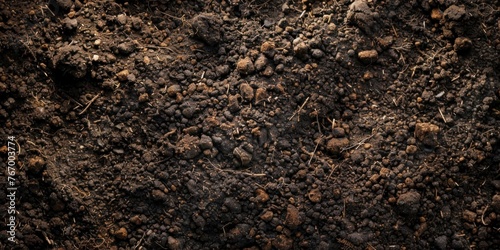 Rich Soil Organic Texture Close-up