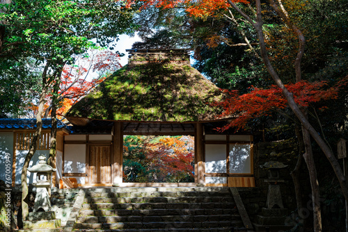 法然院 - Honen-in Temple in Kyoto, Japan photo