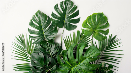Lush tropical leaves arrangement on white background.