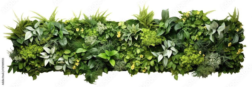 Green garden wall from tropical plants and flowers, cut out - obrazy, fototapety, plakaty 