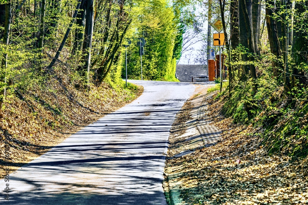 Country road in the countryside with green grass and trees in the background, Poland.