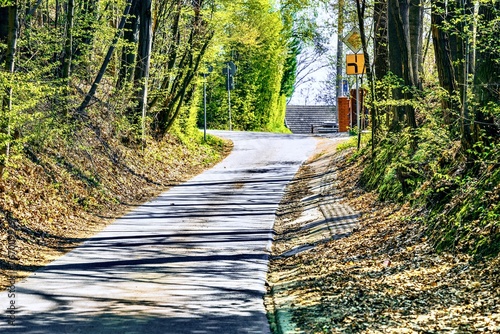 Obraz na płótnie Country road in the countryside with green grass and trees in the background, Poland. w salonie