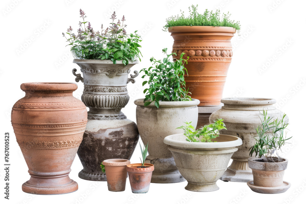 Group of Clay Pots With Plants. On a Clear PNG or White Background.