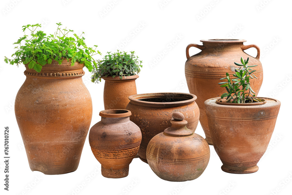 Array of Vases With Plants. On a Clear PNG or White Background. Array of Vases With Plants. On a Clear PNG or White Background.