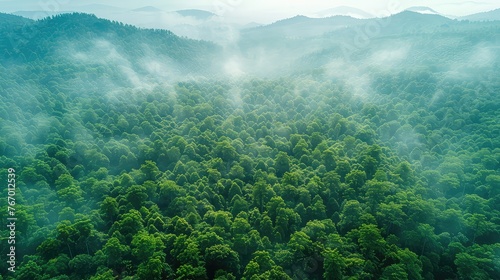Aerial Perspective of Sustainable Forest - Emission Reduction and Environmental Care - Drone Shot with Mountain and Tree Pattern 
 photo
