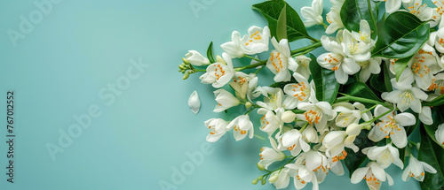 A bouquet of white flowers is displayed on a blue background. The flowers are arranged in a way that they are not overlapping each other, and they are all facing the same direction