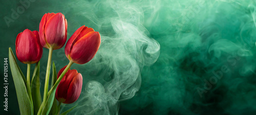 Zielone tło kwiatowe. Wiosenne kwiaty, czerwone tulipany. Abstrakcyjny dym. Puste miejsce