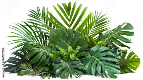 Tropical foliage arrangement isolated on white.