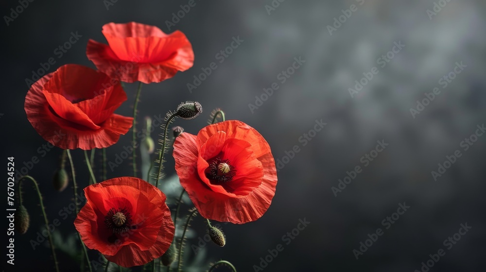 Three Red Flowers in Vase on Table