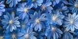 Vibrant Blue Flowers Organic Texture