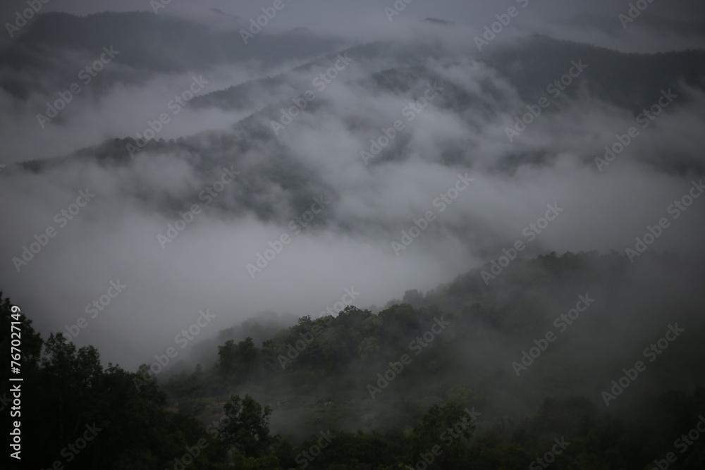 selective focus Mountain forest in thick rainy season mist Gives a cool and moist feeling. The rainy season fog landscape background image looks gloomy.