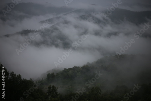 selective focus Mountain forest in thick rainy season mist Gives a cool and moist feeling. The rainy season fog landscape background image looks gloomy.