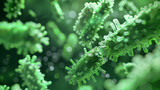Microscopic bacteria, green color, 3d rendering