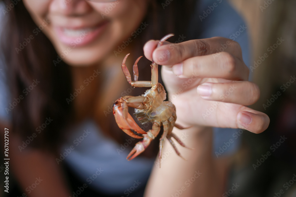Ricefield crabs in the hands of a young farmer woman in Thailand Simple food in the rice fields Farmers live a simple life. Ricefield crabs in the hands of a young farmer woman in Thailand Simple food in the rice fields Farmers live a simple life.