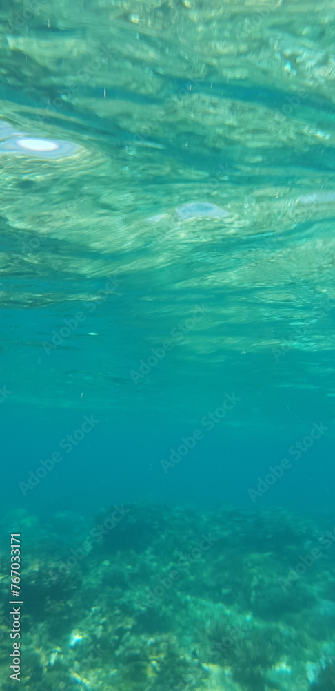 under the sea under the sea