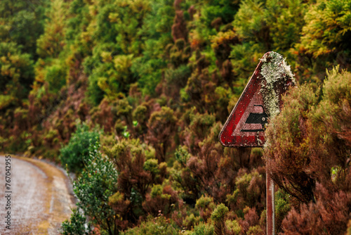 Details of nature, vegetation and flowers close up, old traffic sign with moss. photo