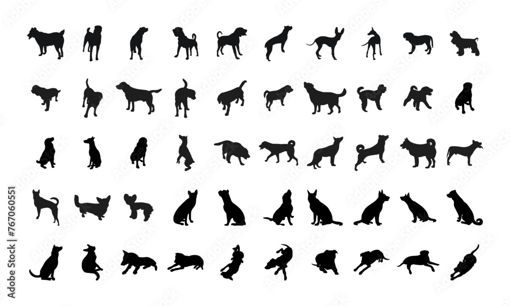 Image of a black dog silhouette in a pose, outline of pet, isolated vector