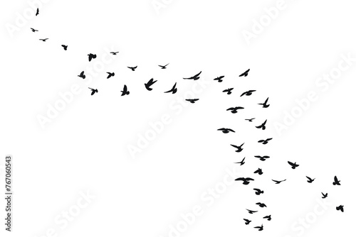 Mockup flock of flying birds, isolated vector