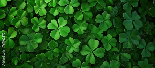 small clover leaf background photo
