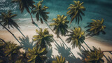 beach background, palm trees, waves. Top down view