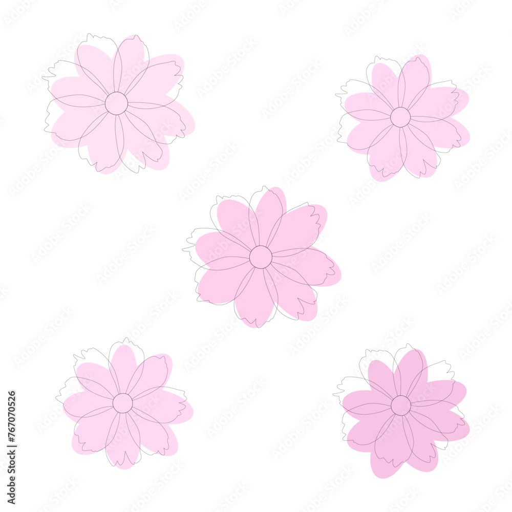 A set of five soft pink cosmos flowers. Vector, white background.