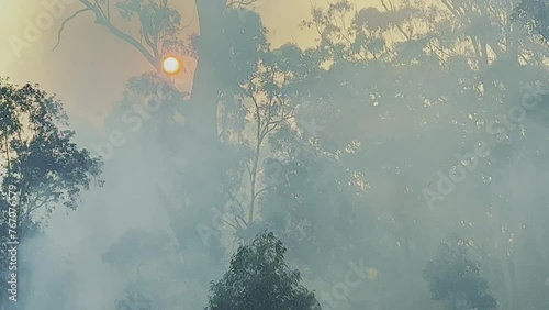Heavy smog, bush fire and windy, Australia.