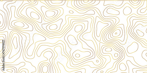 Topographic map and landscape terrain texture grid. Abstract lines background. Contour maps. Vector illustration. golden and white topographic contours lines of mountains. 