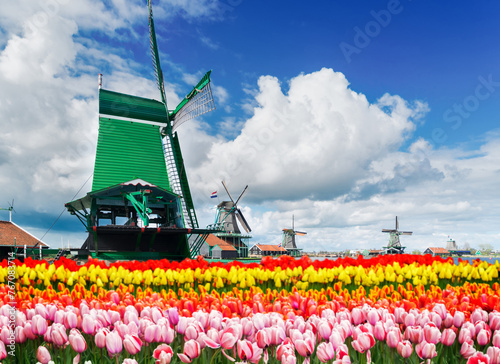 Dutch wind mills
