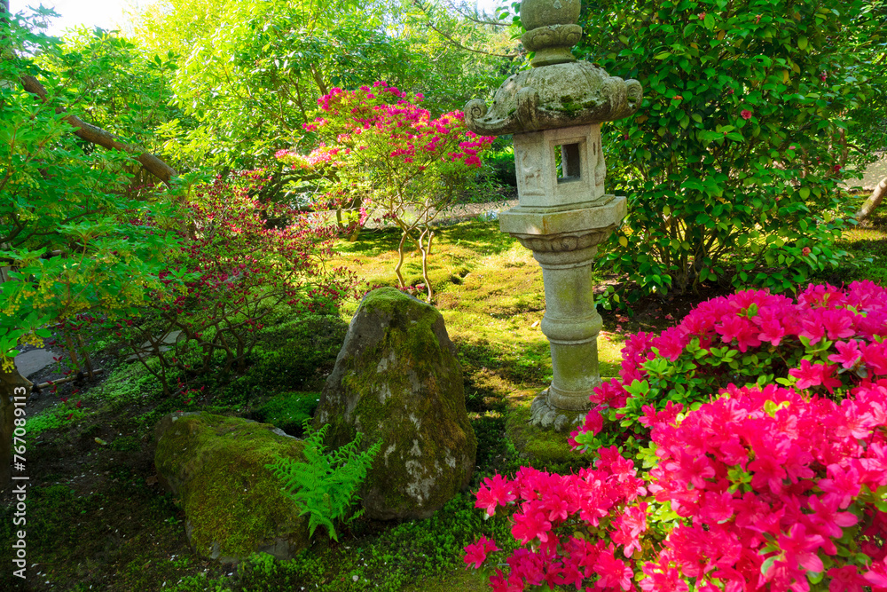 japanese garden in The Hague
