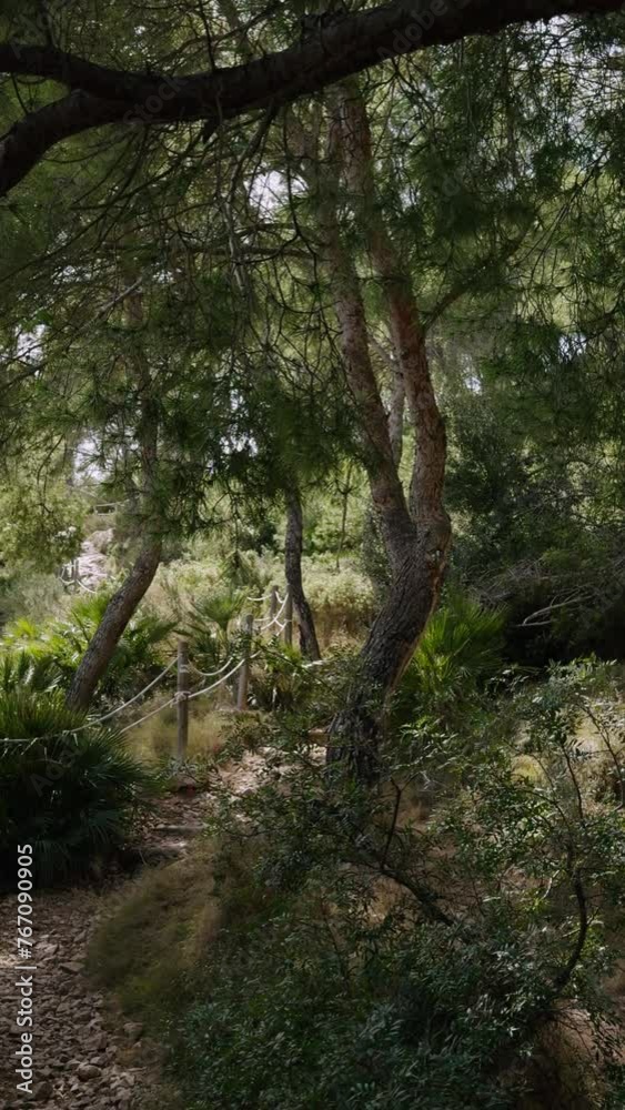 A walk through the hills of Castellon. A fenced path climbs up. A sunny warm day in Spain. A popular place in the park for outdoor activities. A walk through the hills of Castellon. A fenced path climbs up. A sunny warm day in Spain. A popular place in the park for outdoor activities.