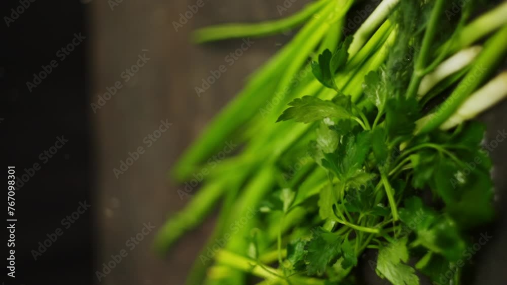 A vertical shot of green onions, dill and parsley falling on the table. Splashes of water fly away from a bundle of greens, shimmering in the light. High quality FullHD footage A vertical shot of green onions, dill and parsley falling on the table. Splashes of water fly away from a bundle of greens, shimmering in the light. High quality FullHD footage