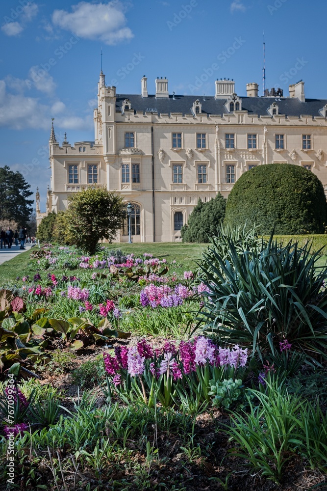 Colorful hyacinths blooming in the spring castle garden. Castle Lednice, Czech republic
