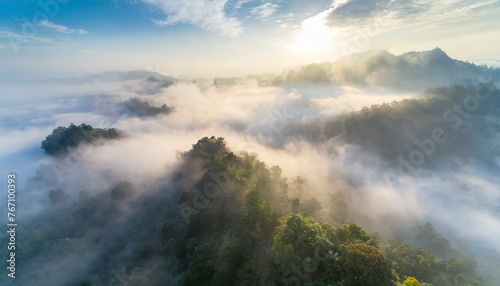 Foggy Humid Rainforest Panorama