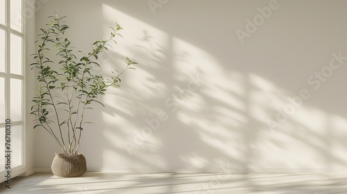 Mur blanc avec une plante et de la lumière du jour qui passe à travers une fenêtre. White wall with a plant and daylight coming through a window. photo