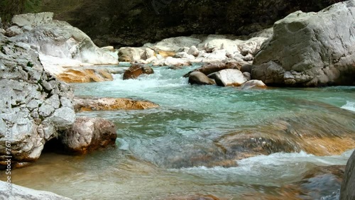 Crystal clear water in a forest river