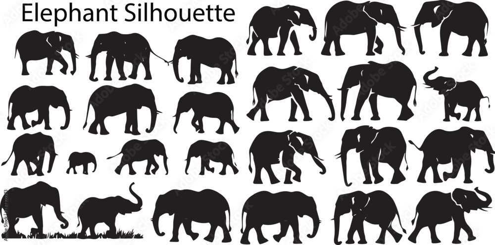 Obraz premium Set of Silhouette Elephant Vector illustration. Black Elephant Silhouette vector collection. Black and white Elephant