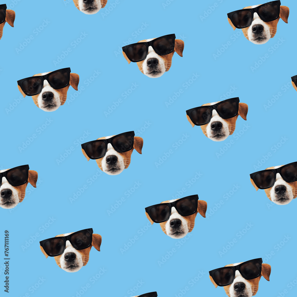 Obraz premium Set of cute Jack Russell Terrier dog with sunglasses. Funny collection head pattern of happy puppy, isolated on colorful background for print