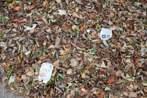 Autumn leaves and litter