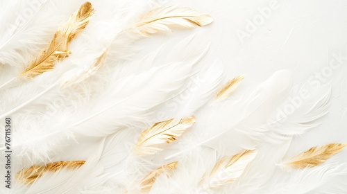 Close-up of a bunch of white feathers with gold accents.abstract background