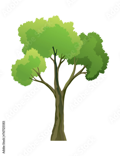 Green tree icon. Natural forest plant, ecology garden template. Beautiful green leaves isolated on white. Spring time tree. Flat  illustration