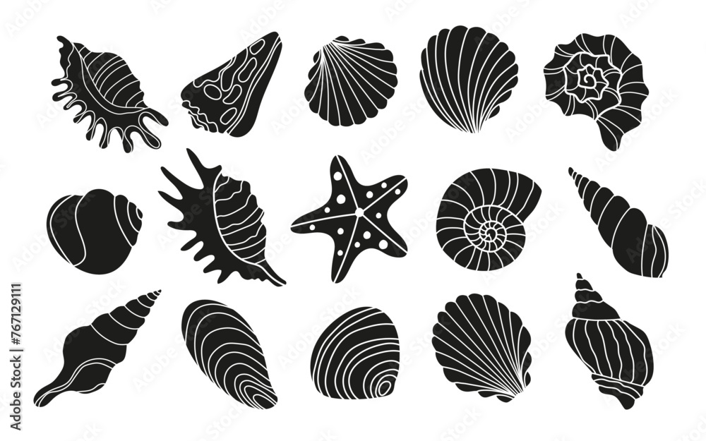 Set of various sea shells and starfish .Vector black and white silhouettes. - obrazy, fototapety, plakaty 